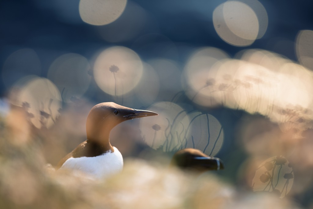 Photo Christine Duchêne