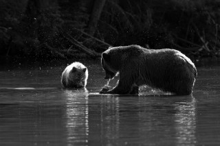 Noir et blanc