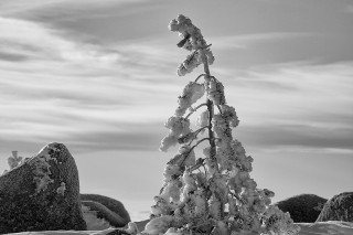 Noir et blanc