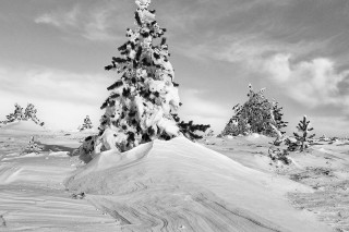 Noir et blanc