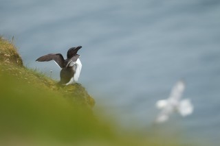 Côté mer