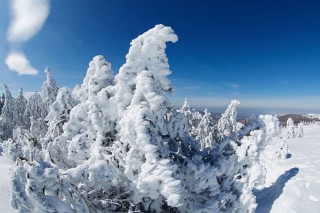 Paysages d&#039;hiver