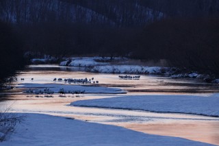 Paysages d&#039;hiver