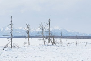 Paysages d&#039;hiver