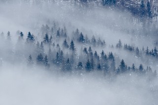 Préférées du moment