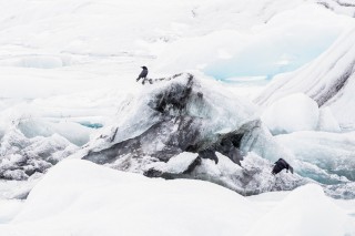 Préférées du moment