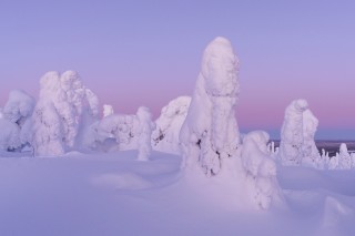 Préférées du moment