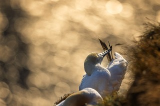 Préférées du moment