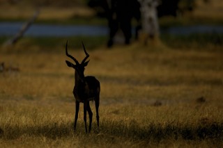 Botswana