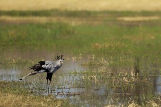 Botswana