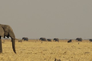 Botswana