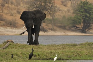 Botswana