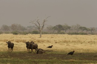 Botswana