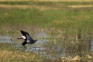 Botswana