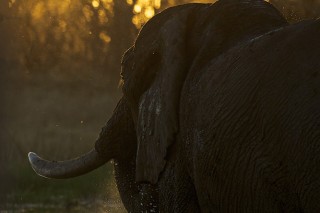 Botswana