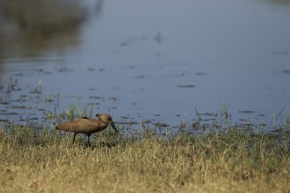 Botswana