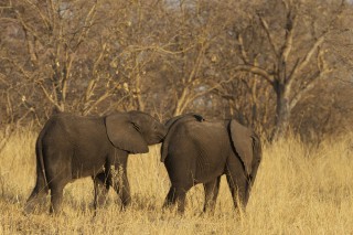 Botswana