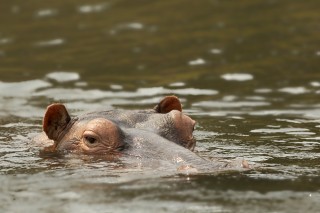 Botswana