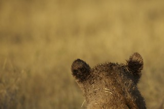 Botswana