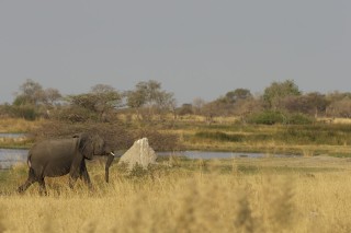 Botswana