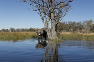 Botswana