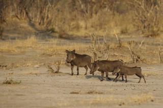 Botswana