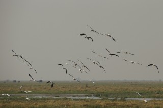 Botswana