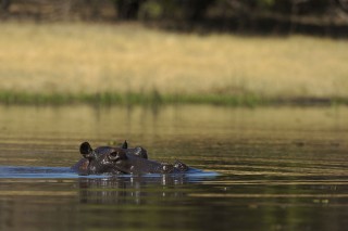 Botswana