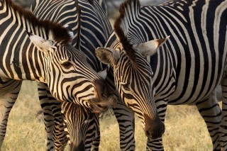 Botswana