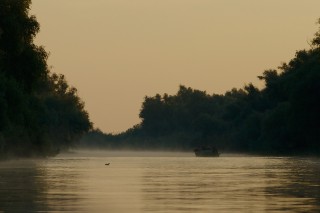 Faune du Delta du Danube et de la campagne Roumaine