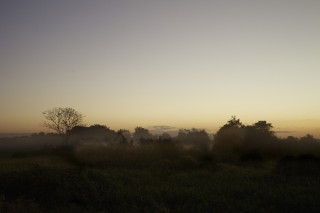 Les eaux fantastiques du Pantanal